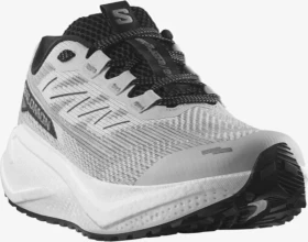 Salomon Aero Blaze 3 Grvl lunar rock/white/black (Damen)