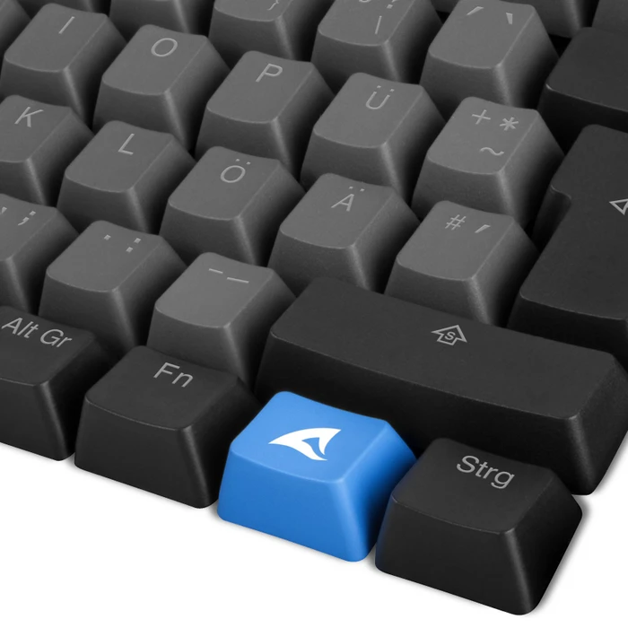 Sharkoon Skiller SAC20 S4 Keycap Set for Skiller SGK50 S4, Kunststoff (PBT) Double-Shot, schwarz/grau, 62 Tasten, ISO-DE
