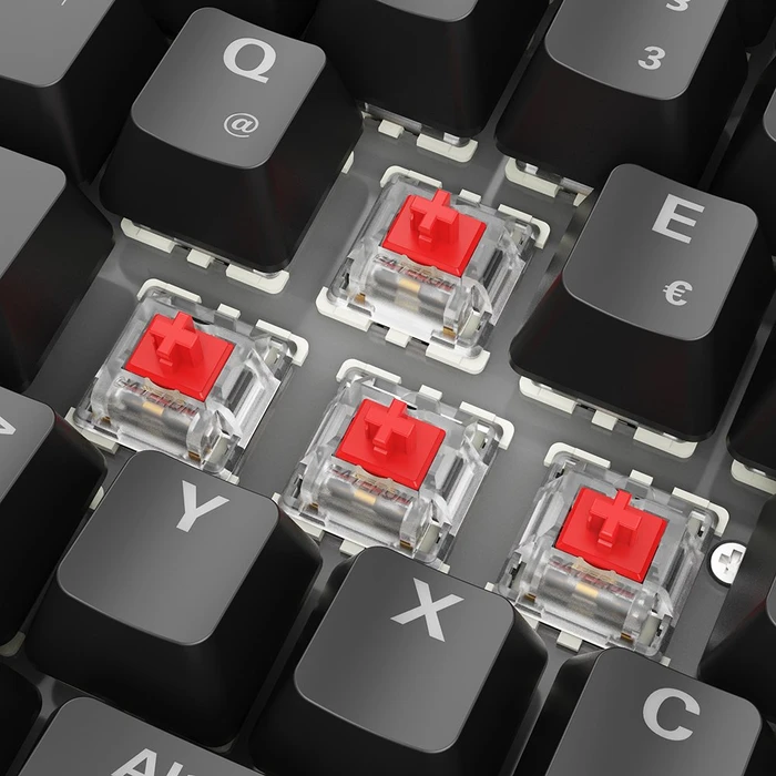 Sharkoon Skiller SGK50 S2, schwarz, LEDs RGB, hot-swap, Gateron RED, USB, DE