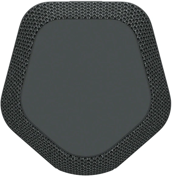 Sony SRS-XE200 schwarz