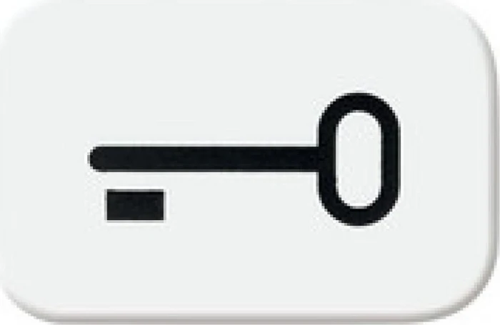 Busch-Jaeger Busch-balance SI Tastersymbol Schlüssel