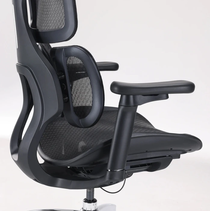 Sihoo Doro S100 Ergonomischer Bürostuhl, schwarz