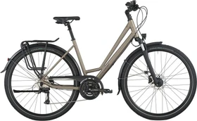 Bergamont Vitess 50 Amsterdam warm silver Modell 2026