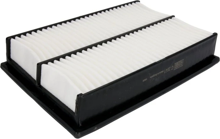 Mann Filter C 2841
