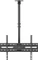 Wentronic Goobay TV-Deckenhalterung Basic (XL) Vorschaubild