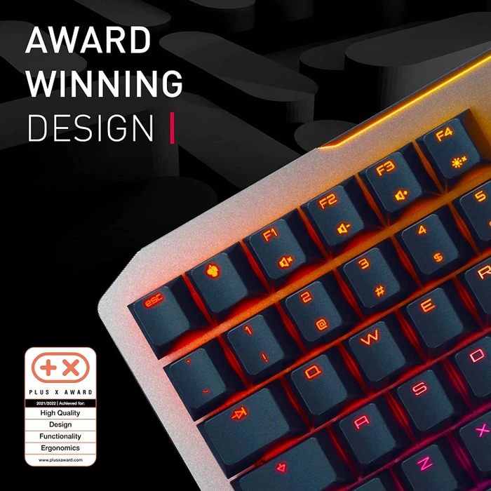 Cherry MV 3.0, LEDs RGB, grau/schwarz, Cherry VIOLA, USB, EU