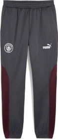 Puma Manchester City NRGY+ Trainingshose lang dark rosette/stormy slate (Herren)