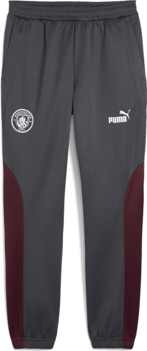 Puma Manchester City NRGY+ Trainingshose (Herren)