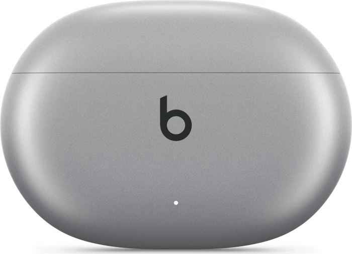 Apple Beats Studio Buds + silber