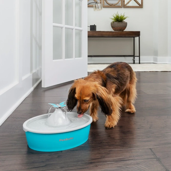 PetSafe Drinkwell Butterfly Trinkbrunnen, 1.5l