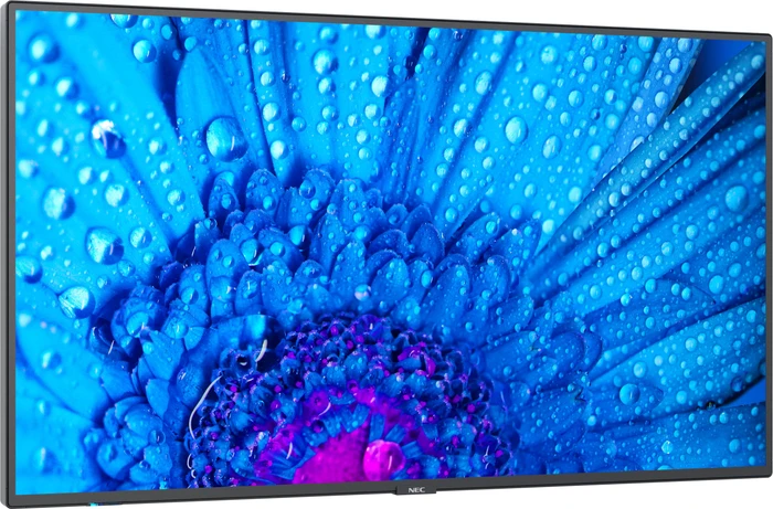 NEC MultiSync M651 Message, 65"