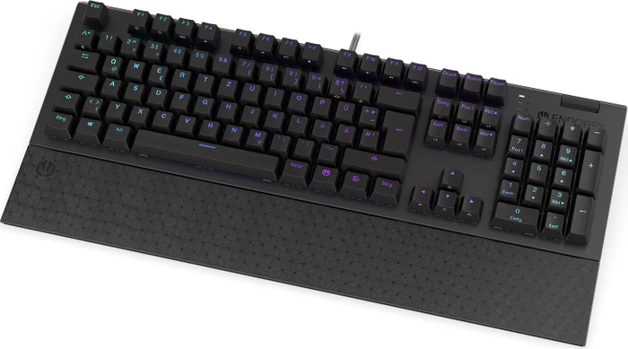 Endorfy Omnis, PBT, LEDs RGB, Kailh RED, USB, DE