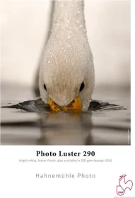 Hahnemühle Photo Luster 290 Fotopapier glänzend, 17", 290g/m², 12m