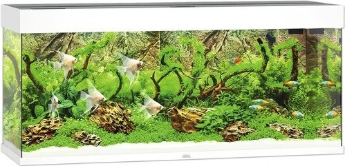 Juwel Rio 240 LED Aquarium-Set, weiß, 240l