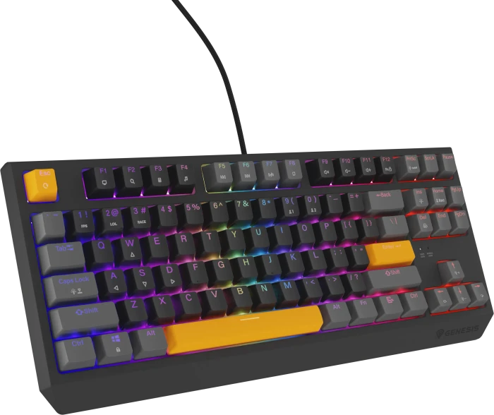 Genesis Thor 230 TKL, Anchor Gray Positive, LEDs RGB, hot-swap, Outemu Red, USB, US