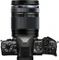 Olympus OM-D E-M5 Mark II Limited Edition titan mit Objektiv M.Zuiko digital ED 14-150mm 4.0-5.6 II Vorschaubild