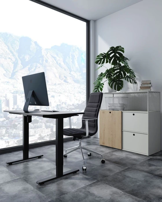 Equip ERGO elektrisch höhenverstellbarer Sitz-Steh-Schreibtisch 120x60cm schwarz/schwarz