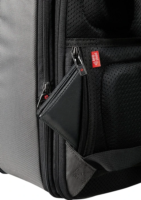 Samsonite Pro-DLX 5 Laptop Backpack 3V expandable 15.6" erweiterbarer Notebook-Rucksack grau