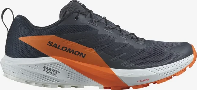 Salomon Sense Ride 5 GTX india ink/carbon/dragon fire (Herren)
