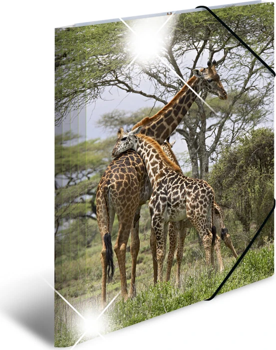 Herma Glossy Tiere Sammelmappe, A4, Giraffe