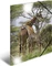 Herma Glossy Tiere Sammelmappe, A4, Giraffe Vorschaubild