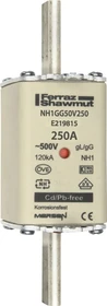 Mersen Sicherungseinsatz DIN NH Standard gG Größe NH1 500VAC 250VDC 250A