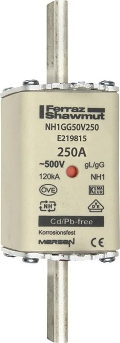 Mersen Sicherungseinsatz DIN NH Standard gG Größe NH1 500VAC 250VDC 250A