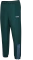 hummel Tracksuit Trainingshose lang ponderosa/pine (Herren) Vorschaubild