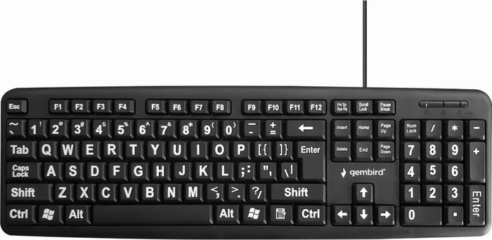 Gembird Standard Keyboard with BIG letters, schwarz, USB, US