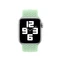 Apple Geflochtenes Solo Loop Größe 7 für Apple Watch 40mm Pistazie Vorschaubild