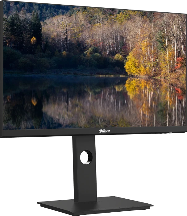 Dahua LM24-P301A, 23.8"