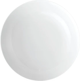 Thomas Medaillon Speiseteller 21.5cm white