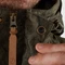 Fjällräven Värmland Wool Jacke dark olive camo (Herren) Vorschaubild