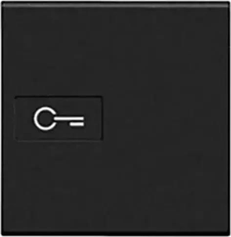 Bticino LivingLight Axial-Wippe Schlüssel 2-modulig, anthrazit
