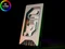 EK Water Blocks Quantum Line EK-Quantum Vector FE RTX 3080 D-RGB, Silver Special Edition, Nickel, Acryl Vorschaubild