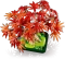 LEGO Botanicals - Japanischer Roter Ahorn Bonsai-Baum Vorschaubild