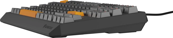Genesis Thor 230 TKL, Anchor Gray Positive, LEDs RGB, hot-swap, Outemu Red, USB, US