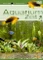 Ambiente: Aquarium Vorschaubild