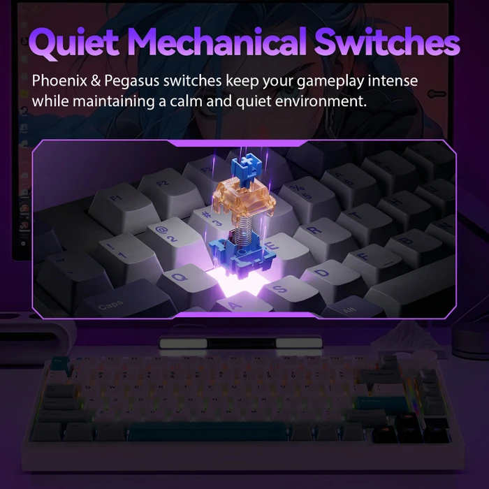 Gamakay TK75 SOCD Silent Mechanical Keyboard, Phoenix V2 linear, USB/Bluetooth, DE