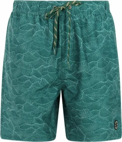 Protest Acorn Badeshorts dark teal (Herren)