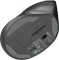 Natec Crake 2 Vertical Wireless Mouse schwarz, USB/Bluetooth Vorschaubild