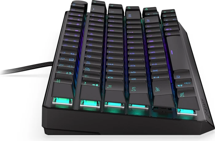 Endorfy Thock 75% Wireless Red, PBT, LEDs RGB, hot-swap, Kailh Box RED, USB/Bluetooth, US