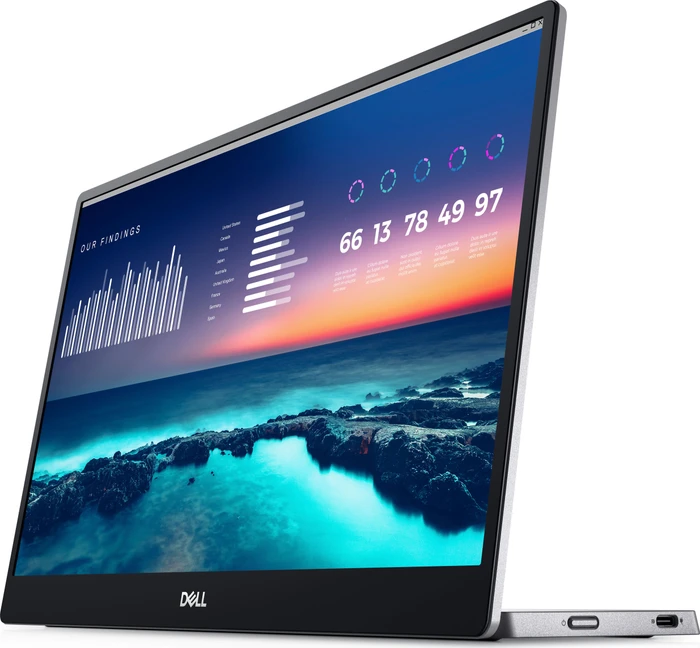 Dell P-Serie 2024