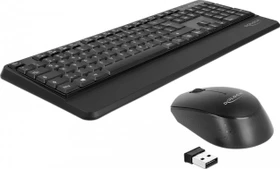 DeLOCK kabellose Tastatur mit Handballenauflage und Maus Set schwarz, USB, DE