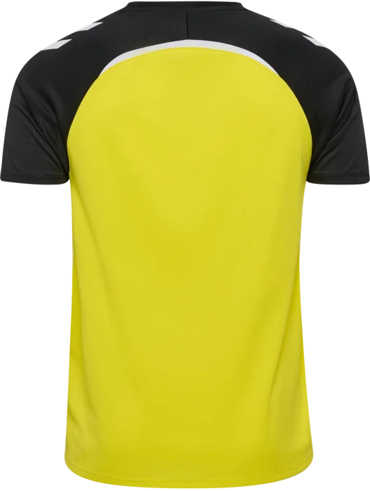 hummel Lead 2.0 Funktionsshirt kurzarm blazing yellow/black (Herren)