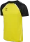 hummel Lead 2.0 Funktionsshirt kurzarm blazing yellow/black (Herren) Vorschaubild