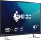 Eizo FlexScan EV4340X, schwarz, 42.5" Vorschaubild