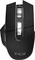Inca IWM-555 Wireless Mouse schwarz, USB/Bluetooth Vorschaubild