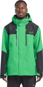 Jack Wolfskin Jasper 2L Funktionsjacke lizard (Herren)