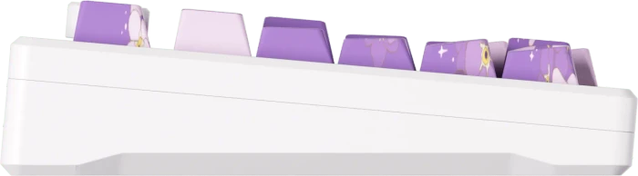 Akko MOD 007 HE, Purple Melody, LEDs RGB, hot-swap, Cream Yellow Magnetic, USB/Bluetooth, US